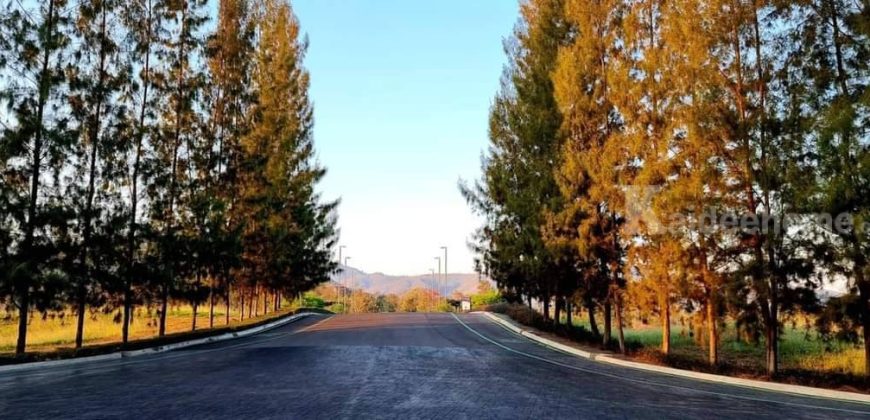 ด่วน ขายที่ดินเขาใหญ่ โครงการภิรมณ์ Pirom Khaoyai ที่ดิน 479 ตร.ว กุดคล้า ผ่านศึก พญาเย็น ปากช่อง วิวเขาล้อมรอบ ใกล้ พีบี PB วัลเลย์ ไร่องุ่นกรานมองเต้ นิติดูแลดี ปลอดภัย ขายถูกที่สุด 087-9074045