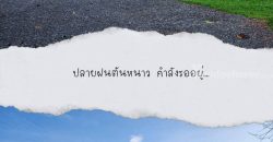 ด่วน ลดสุดๆ ขายกิจการรีสอร์ท โรมแรม เขาใหญ่ วังกะทะ ปากช่อง นครราชสีมา ที่ดิน 12 ไร่ วิวภูเขาสวย ติดถนนคอนกรีต ใกล้เส้น 2213 ทอสคานา สามารถดำเนินกิจการต่อได้เลย ขายด่วน 087-9074045