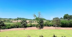 ด่วน ลดสุดๆ ขายกิจการรีสอร์ท โรมแรม เขาใหญ่ วังกะทะ ปากช่อง นครราชสีมา ที่ดิน 12 ไร่ วิวภูเขาสวย ติดถนนคอนกรีต ใกล้เส้น 2213 ทอสคานา สามารถดำเนินกิจการต่อได้เลย ขายด่วน 087-9074045