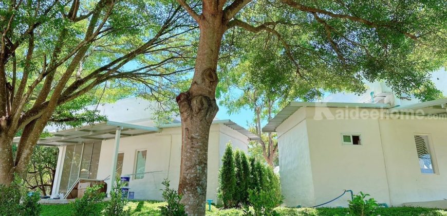 ด่วน ลดสุดๆ ขายกิจการรีสอร์ท โรมแรม เขาใหญ่ วังกะทะ ปากช่อง นครราชสีมา ที่ดิน 12 ไร่ วิวภูเขาสวย ติดถนนคอนกรีต ใกล้เส้น 2213 ทอสคานา สามารถดำเนินกิจการต่อได้เลย ขายด่วน 087-9074045