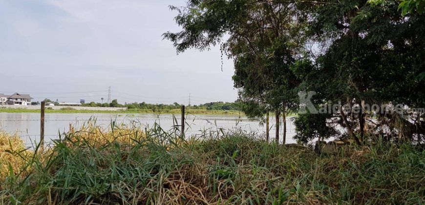 💙ขายที่ดิน แม่น้ำเจ้าพระยา สามโคก ปทุมธานี 359 ตร.ว ที่ริมน้ำสวยมาก ใกล้ธรรมศาสตร์รังสิต ติดถนนคอนกรีต เดินทางสะดวก เหมาะสร้างบ้านพักตากอากาศ ใกล้เส้นปทุม (347) 4.8 กม. 087-9074045