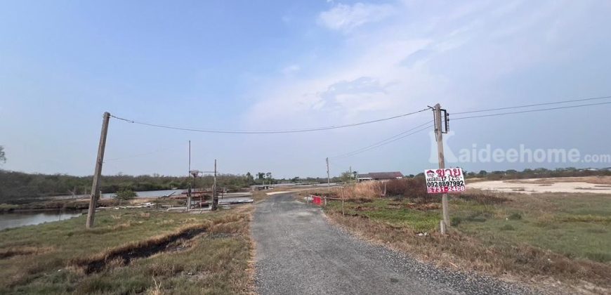 ขายที่ดิน ซอยโรงไฟฟ้าบางปะกง ถนนเทศบาลท่าข้าม7 พื้นที่ 17-1-2 ไร่ ราคาถูกที่สุดในย่านนั้น ใกล้โรงไฟฟ้าบางปะกง