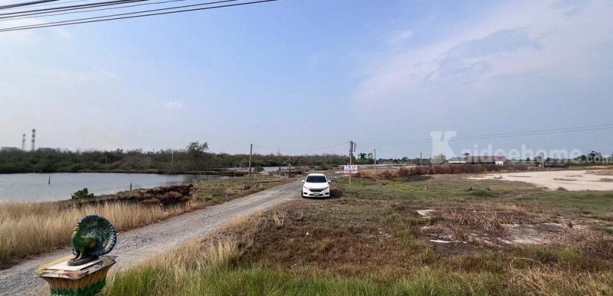 ขายที่ดิน ซอยโรงไฟฟ้าบางปะกง ถนนเทศบาลท่าข้าม7 พื้นที่ 17-1-2 ไร่ ราคาถูกที่สุดในย่านนั้น ใกล้โรงไฟฟ้าบางปะกง