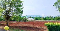 ขายด่วนที่ดินเขาใหญ่ หมูสี ปากช่อง นครราชสีมา แปลงเล็ก 2 แปลง ราคาดี เห็นวิวภูเขา เหมาะทำบ้านพักตากอากาศ พูลวิลล่า รีสอร์ท ใกล้เขาใหญ่ คีรีมายา ที่ดินวิวเขา 087-9074045