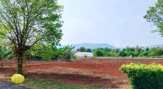 ขายด่วนที่ดินเขาใหญ่ หมูสี ปากช่อง นครราชสีมา แปลงเล็ก 2 แปลง ราคาดี เห็นวิวภูเขา เหมาะทำบ้านพักตากอากาศ พูลวิลล่า รีสอร์ท ใกล้เขาใหญ่ คีรีมายา ที่ดินวิวเขา 087-9074045