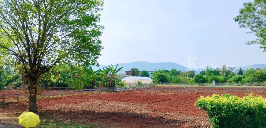 ขายด่วนที่ดินเขาใหญ่ หมูสี ปากช่อง นครราชสีมา แปลงเล็ก 2 แปลง ราคาดี เห็นวิวภูเขา เหมาะทำบ้านพักตากอากาศ พูลวิลล่า รีสอร์ท ใกล้เขาใหญ่ คีรีมายา ที่ดินวิวเขา 087-9074045