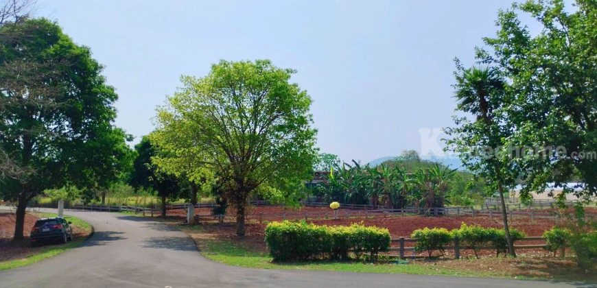 ขายด่วนที่ดินเขาใหญ่ หมูสี ปากช่อง นครราชสีมา แปลงเล็ก 2 แปลง ราคาดี เห็นวิวภูเขา เหมาะทำบ้านพักตากอากาศ พูลวิลล่า รีสอร์ท ใกล้เขาใหญ่ คีรีมายา ที่ดินวิวเขา 087-9074045