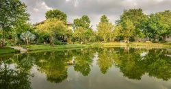 ขายที่ดินพร้อมบ้านติดลำตะคอง เขาใหญ่ 10 ไร่ ขนงพระเหนือ ปากช่อง ใกล้ธนะรัชต์ ที่ติดน้ำลำตะคอง แอ่งน้ำตก แปลงสวยหายาก จ.นครราชสีมา บ้านตากอากาศริมน้ำ บ้านสวนริมน้ำ 087-907-4045