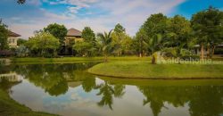 ขายที่ดินพร้อมบ้านติดลำตะคอง เขาใหญ่ 10 ไร่ ขนงพระเหนือ ปากช่อง ใกล้ธนะรัชต์ ที่ติดน้ำลำตะคอง แอ่งน้ำตก แปลงสวยหายาก จ.นครราชสีมา บ้านตากอากาศริมน้ำ บ้านสวนริมน้ำ 087-907-4045