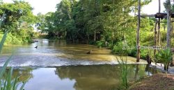 ขายที่ดินพร้อมบ้านติดลำตะคอง เขาใหญ่ 10 ไร่ ขนงพระเหนือ ปากช่อง ใกล้ธนะรัชต์ ที่ติดน้ำลำตะคอง แอ่งน้ำตก แปลงสวยหายาก จ.นครราชสีมา บ้านตากอากาศริมน้ำ บ้านสวนริมน้ำ 087-907-4045