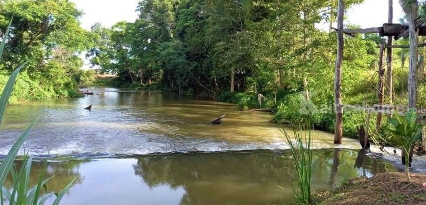 ขายที่ดินพร้อมบ้านติดลำตะคอง เขาใหญ่ 10 ไร่ ขนงพระเหนือ ปากช่อง ใกล้ธนะรัชต์ ที่ติดน้ำลำตะคอง แอ่งน้ำตก แปลงสวยหายาก จ.นครราชสีมา บ้านตากอากาศริมน้ำ บ้านสวนริมน้ำ 087-907-4045