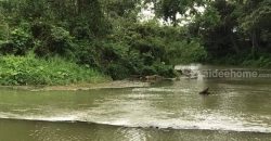 ขายที่ดินพร้อมบ้านติดลำตะคอง เขาใหญ่ 10 ไร่ ขนงพระเหนือ ปากช่อง ใกล้ธนะรัชต์ ที่ติดน้ำลำตะคอง แอ่งน้ำตก แปลงสวยหายาก จ.นครราชสีมา บ้านตากอากาศริมน้ำ บ้านสวนริมน้ำ 087-907-4045