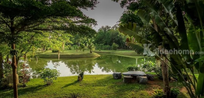 ขายที่ดินพร้อมบ้านติดลำตะคอง เขาใหญ่ 10 ไร่ ขนงพระเหนือ ปากช่อง ใกล้ธนะรัชต์ ที่ติดน้ำลำตะคอง แอ่งน้ำตก แปลงสวยหายาก จ.นครราชสีมา บ้านตากอากาศริมน้ำ บ้านสวนริมน้ำ 087-907-4045