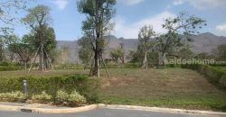 ด่วน ขายที่ดินเขาใหญ่ โครงการภิรมณ์ Pirom Khaoyai ที่ดิน 479 ตร.ว กุดคล้า ผ่านศึก พญาเย็น ปากช่อง วิวเขาล้อมรอบ ใกล้ พีบี PB วัลเลย์ ไร่องุ่นกรานมองเต้ นิติดูแลดี ปลอดภัย ขายถูกที่สุด 087-9074045