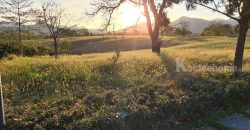 ด่วน ขายที่ดินเขาใหญ่ โครงการภิรมณ์ Pirom Khaoyai ที่ดิน 479 ตร.ว กุดคล้า ผ่านศึก พญาเย็น ปากช่อง วิวเขาล้อมรอบ ใกล้ พีบี PB วัลเลย์ ไร่องุ่นกรานมองเต้ นิติดูแลดี ปลอดภัย ขายถูกที่สุด 087-9074045