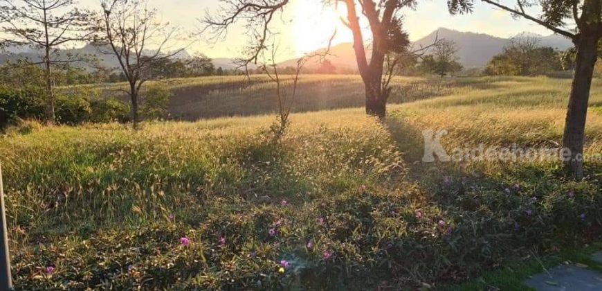 ด่วน ขายที่ดินเขาใหญ่ โครงการภิรมณ์ Pirom Khaoyai ที่ดิน 479 ตร.ว กุดคล้า ผ่านศึก พญาเย็น ปากช่อง วิวเขาล้อมรอบ ใกล้ พีบี PB วัลเลย์ ไร่องุ่นกรานมองเต้ นิติดูแลดี ปลอดภัย ขายถูกที่สุด 087-9074045