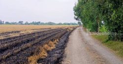 ขายที่ดินเปล่าในอำเภอบางน้ำเปรี้ยว จังหวัดฉะเชิงเทรา