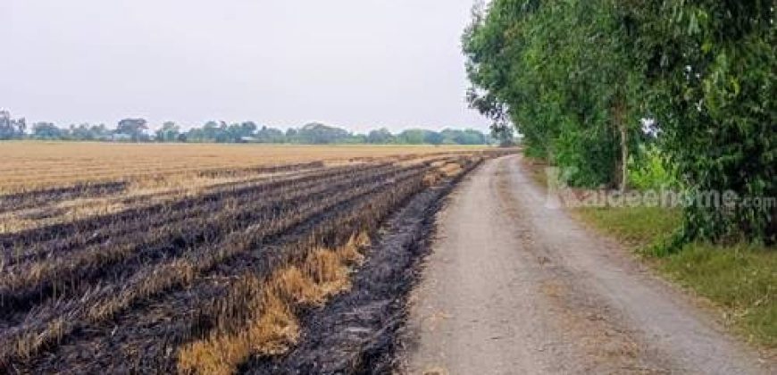 ขายที่ดินเปล่าในอำเภอบางน้ำเปรี้ยว จังหวัดฉะเชิงเทรา