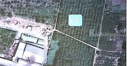 ขายที่ดิน 30 ไร่ 3 งาน 98 ตร.ว จ.เชียงราย อ.พาน ต.สันมะเค็ด ติดถนน สายป่าแดด-พาน ปลูกสวนยาง 2,000 ต้น โทร 0818675639