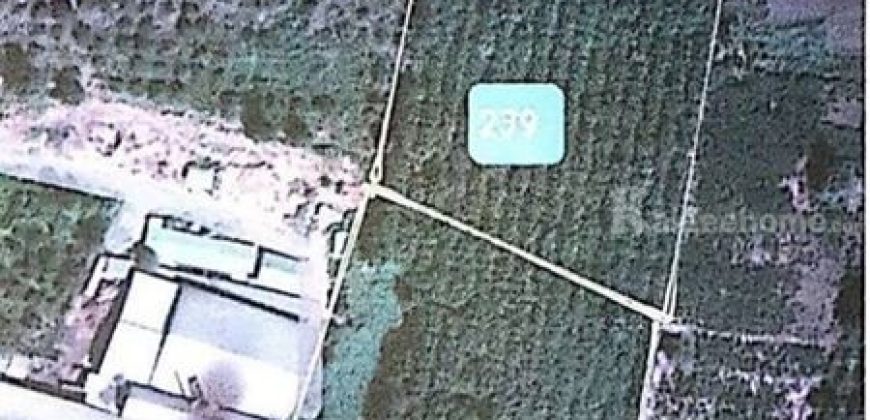 ขายที่ดิน 30 ไร่ 3 งาน 98 ตร.ว จ.เชียงราย อ.พาน ต.สันมะเค็ด ติดถนน สายป่าแดด-พาน ปลูกสวนยาง 2,000 ต้น โทร 0818675639