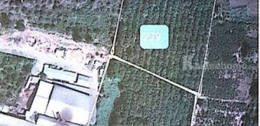 ขายที่ดิน ปลูกสวนยาง 2,000 ต้น 30 ไร่ 3 งาน 98 ตร.ว จ.เชียงราย ติดถนน สายป่าแดด-พาน โทร 0818675639