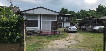 ขายที่ดินพร้อมบ้าน ทำเลทอง บ้านตองกาย อ.หางดง จ.เชียงใหม่ ตรงเส้นหลัก ใกล้ไนท์ซาฟารีและราชพฤกษ์ บรรยากาศดีมาก โทร 0956530192