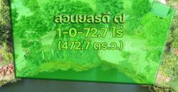 ขายที่ดิน ริมน้ำ ติดบึงสวย ตำบลบ้านยาง อำเภอเมืองนครปฐม 472.7 ตารางวา