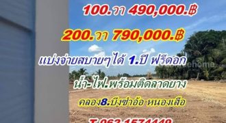 เงื่อนไขง่ายแบ่งจ่ายได้ราคาถูกทำเลดีมีน้ำไฟ ที่ดินคลอง8 หนองเสือ ที่ดินถูกทำเลดีติดถนนไฟฟ้าประปาครบ T.062-1574449