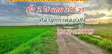 แหล่งชุมชน ใกล้ความเจริญ ทั้งถูก ทั้งลด ทั้งแถม โปรแรง ที่ดิน ลำลูกกา คลอง8. T.062-1574449