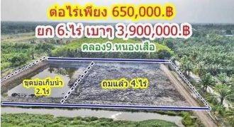 เจ้าของรีบ ขายถูกขายด่วน ลดเหลือไร่ละ.620,000บาท.ที่คลอง9 T.062-1574449