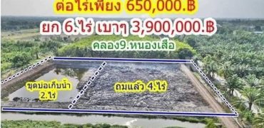 เจ้าของรีบ ขายถูกขายด่วน ลดเหลือไร่ละ.620,000บาท.ที่คลอง9 T.062-1574449