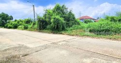 ขายถูกที่ดิน ฟลอร่าวิลล์ พาร์ค ซิตี้ สุวินทวงศ์ (Flora Ville Park City Suwinthawong) 139.8 ตร.ว.