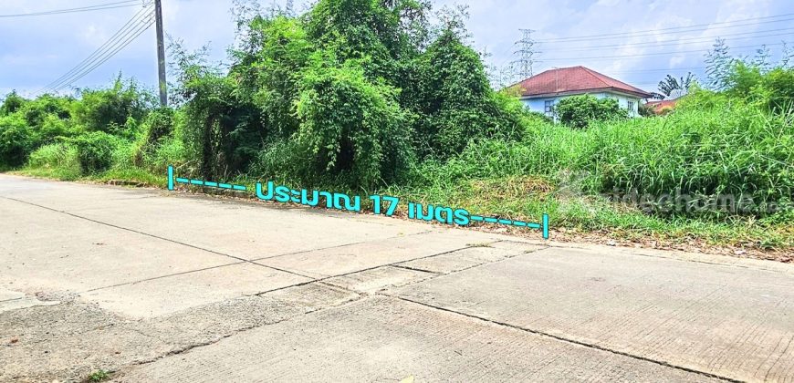 ขายถูกที่ดิน ฟลอร่าวิลล์ พาร์ค ซิตี้ สุวินทวงศ์ (Flora Ville Park City Suwinthawong) 139.8 ตร.ว.