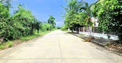 ขายถูกที่ดิน ฟลอร่าวิลล์ พาร์ค ซิตี้ สุวินทวงศ์ (Flora Ville Park City Suwinthawong) 139.8 ตร.ว.