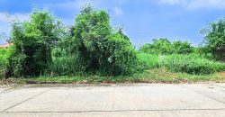 ขายถูกที่ดิน ฟลอร่าวิลล์ พาร์ค ซิตี้ สุวินทวงศ์ (Flora Ville Park City Suwinthawong) 139.8 ตร.ว.