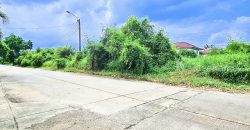 ขายถูกที่ดิน ฟลอร่าวิลล์ พาร์ค ซิตี้ สุวินทวงศ์ (Flora Ville Park City Suwinthawong) 139.8 ตร.ว.