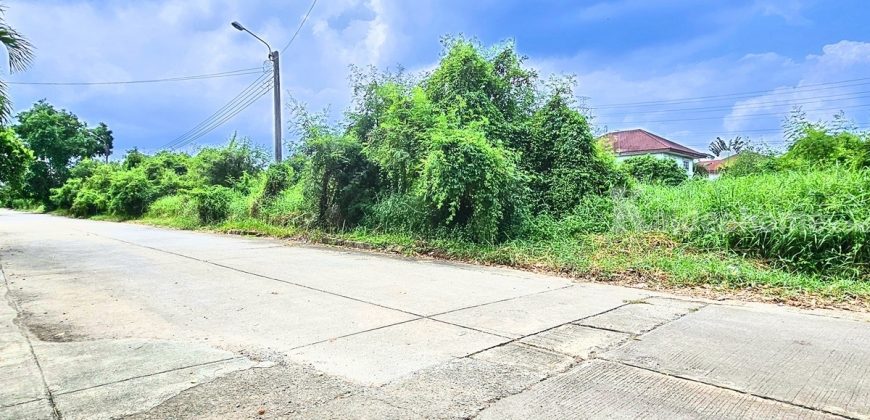 ขายถูกที่ดิน ฟลอร่าวิลล์ พาร์ค ซิตี้ สุวินทวงศ์ (Flora Ville Park City Suwinthawong) 139.8 ตร.ว.