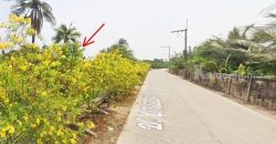 ขายที่ดิน นครชัยศรี จ.นครปฐม ถูกมาก ติดคลอง 704 ตร.ว. ใกล้พิพิธภัณฑ์หุ่นขี้ผึ้ง โทร 094-8518558