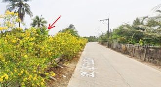 ขายที่ดินติดคลอง 704 ตรว. ซอยบางออคร (ซ.สามพราน 18) อ.นครชัยศรี จ.นครปฐม โทร 094-8518558
