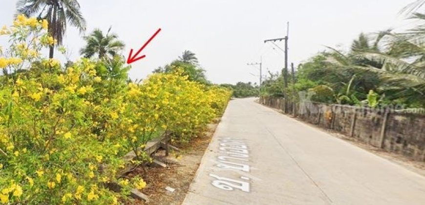 ขายที่ดินติดคลอง 704 ตรว. ซอยบางออคร (ซ.สามพราน 18) อ.นครชัยศรี จ.นครปฐม โทร 094-8518558