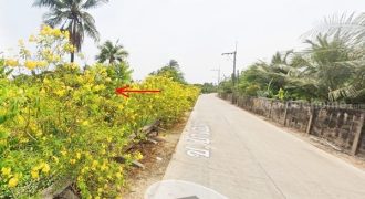 ขายที่ดินถูกมาก ติดคลอง 704 ตร.ว. ซ.บางออคร (ซ.สามพราน18) อ.นครชัยศรี จ.นครปฐม โทร 094-8518558