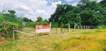 ขายที่ดินเปล่า ในตัวเมืองเชียงใหม่ สำหรับคนที่สนใจอยากปลูกบ้านในเมืองใกล้สถานที่สำคัญ และราคาไม่แรง โทร 0995693546