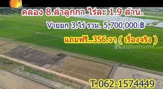 ซื้อ 3 ไร่ แถมฟรีให้อีก 356 วา ที่ลำลูกกาคลอง8 เจ้าของขายเท T.062-1574449