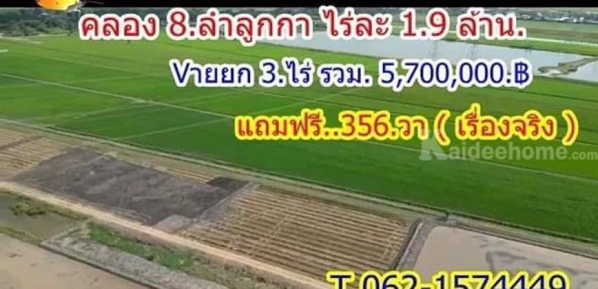 ซื้อ 3 ไร่ แถมฟรีให้อีก 356 วา ที่ลำลูกกาคลอง8 เจ้าของขายเท T.062-1574449