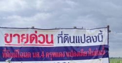 ด่วน ขายที่ดินแม่สอด -ห้วยกระโหลก จำนวน42ไร่ ***(ที่ดินมีโฉนด นส.4 ครุฑแดงแปลงเดียวในย่านนี้)
