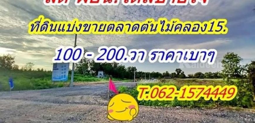 สดผ่อน สบายใจที่ดิน แบ่งขาย ตลาดต้นไม้คลอง15 ราคาเบา T.062-1574449