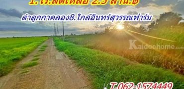 โปรมิถุนาลดราคา ให้สบายงบ ที่ดิน ลำลูกกา คลอง8 ราคาเบาๆ T.062-1574449