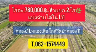 ถูกจัด เจ้าของรีบขาย แบ่งจ่ายได้ ที่ดินคลอง11 หนองเสือ T.062-1574449