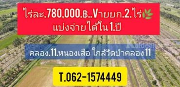 ถูกจัด เจ้าของรีบขาย แบ่งจ่ายได้ ที่ดินคลอง11 หนองเสือ T.062-1574449