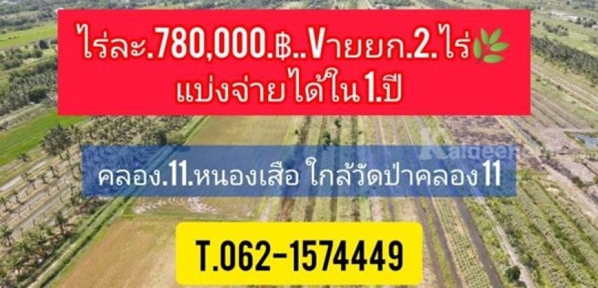 ถูกจัด เจ้าของรีบขาย แบ่งจ่ายได้ ที่ดินคลอง11 หนองเสือ T.062-1574449